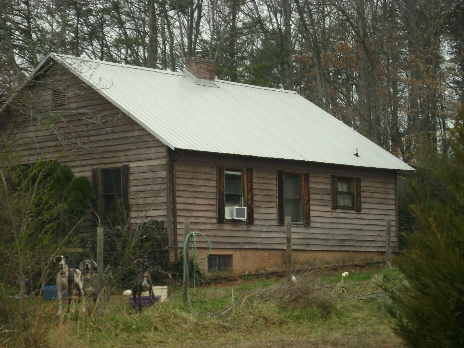 White metal roof on an old wood sided farmhouse, from a Asphalt Shingle Roof Repair job in Arrington